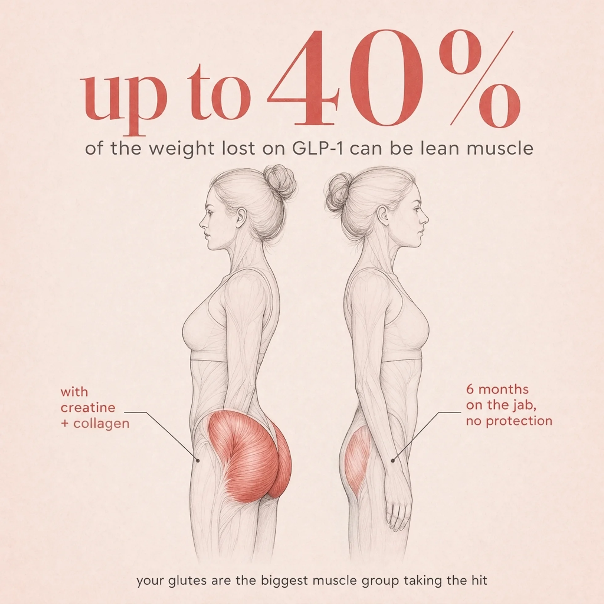 Infographic: up to 40% of weight lost on GLP-1 can be lean muscle